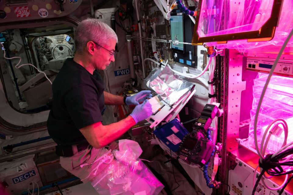 NASA Invites Media to Briefing on Research Launching to Space Station
