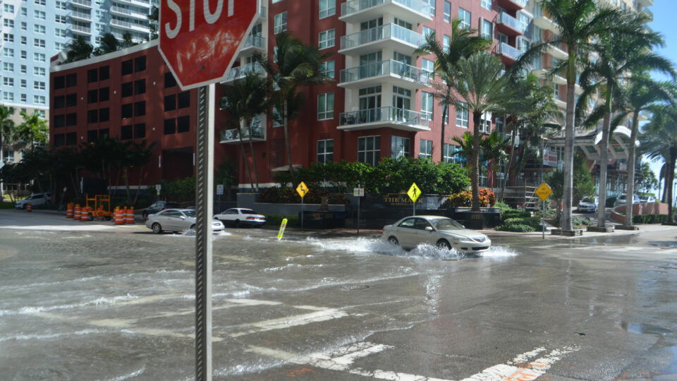 Sea Level to Rise up to a Foot by 2050, Interagency Report Finds