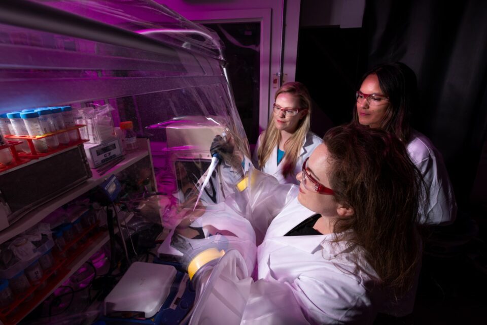 Removing Traces of Life in Lab Helps NASA Scientists Study Its Origins