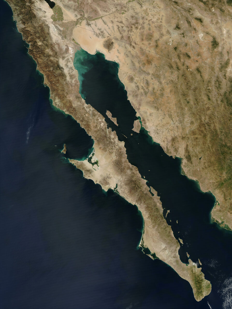 Baja California Sur on the Pacific Ocean