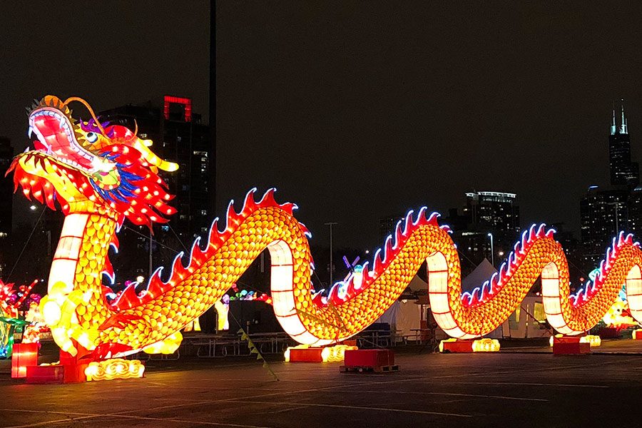 Dragon Lights Up the Night