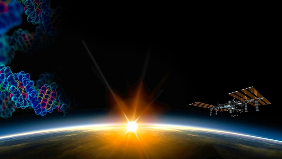 Science on Station: November 2023