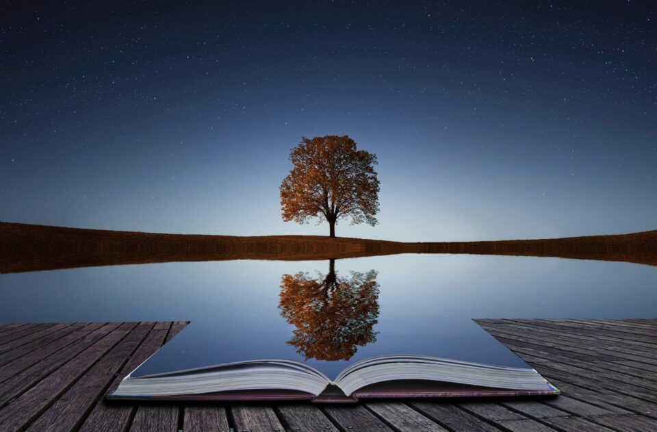 Reflection