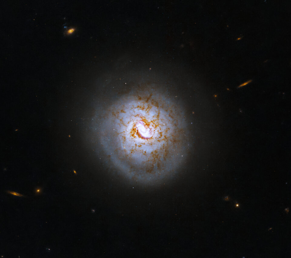 BioNutrients: A Five-Year Experiment in Space Nears Completion