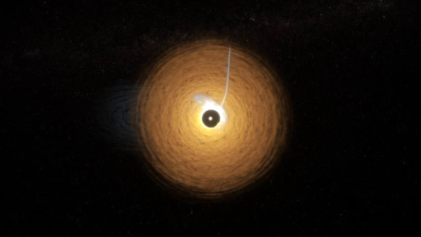 NASA’s Webb Discovers Dusty ‘Cat’s Tail’ in Beta Pictoris System