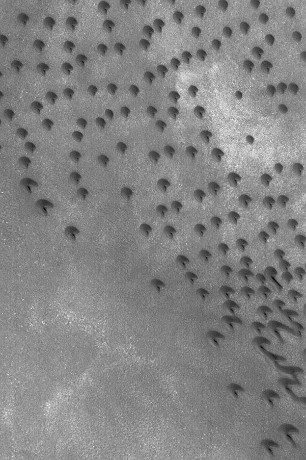 Martian Barchan Dunes