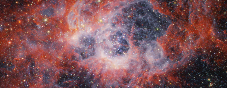 Peering Into the Tendrils of NGC 604 with NASA’s Webb