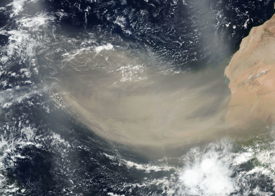 Saharan Dust in the Wind