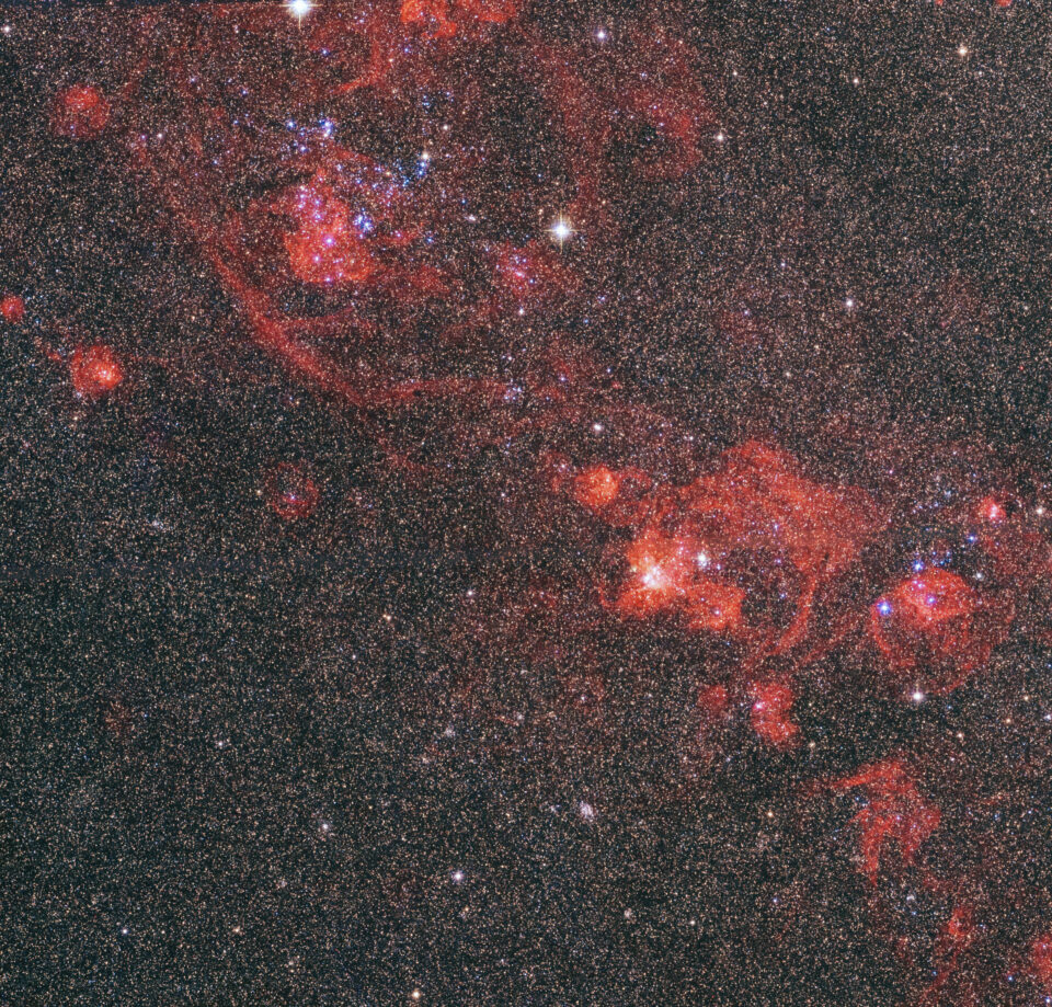 Hubble Zooms into the Rosy Tendrils of Andromeda