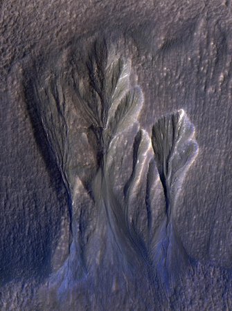 Could Life Exist Below Mars Ice? NASA Study Proposes Possibilities