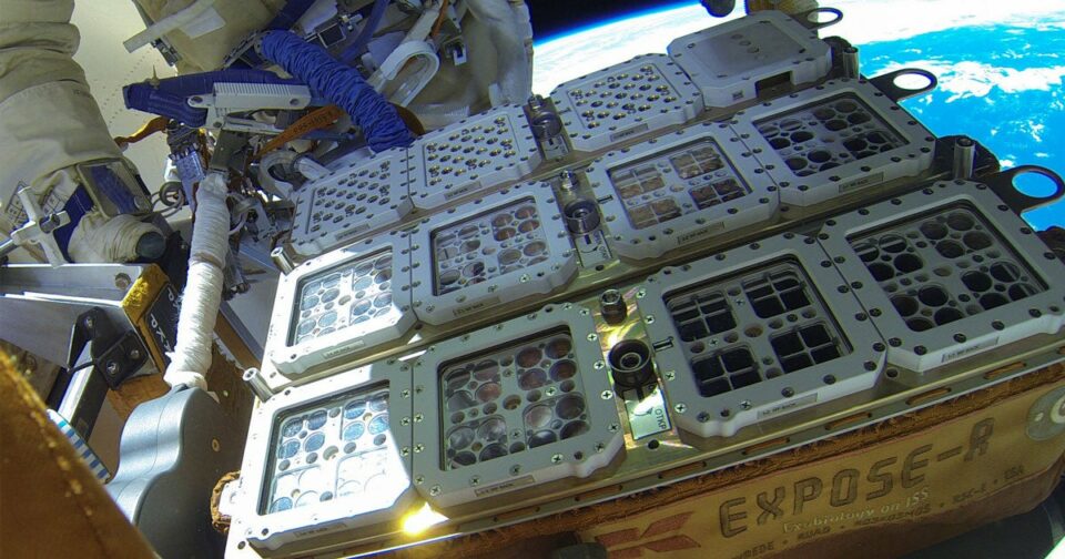 Astronauts Set to Swab the Exterior of Station for Microbial Life