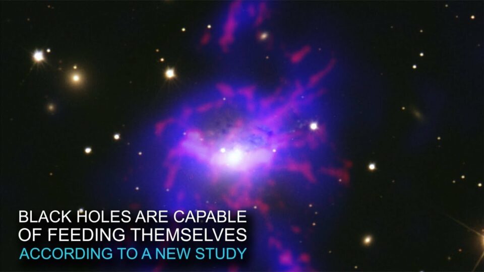 Black Holes Can Cook for Themselves, Chandra Study Shows