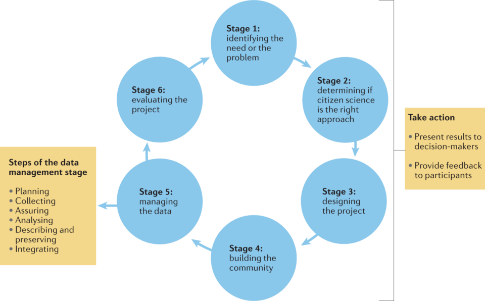 Newly Selected Citizen Science Proposals: A Peek at What’s Next