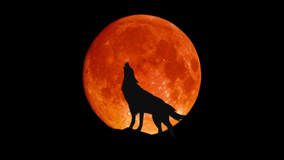 The Next Full Moon is the Wolf Moon