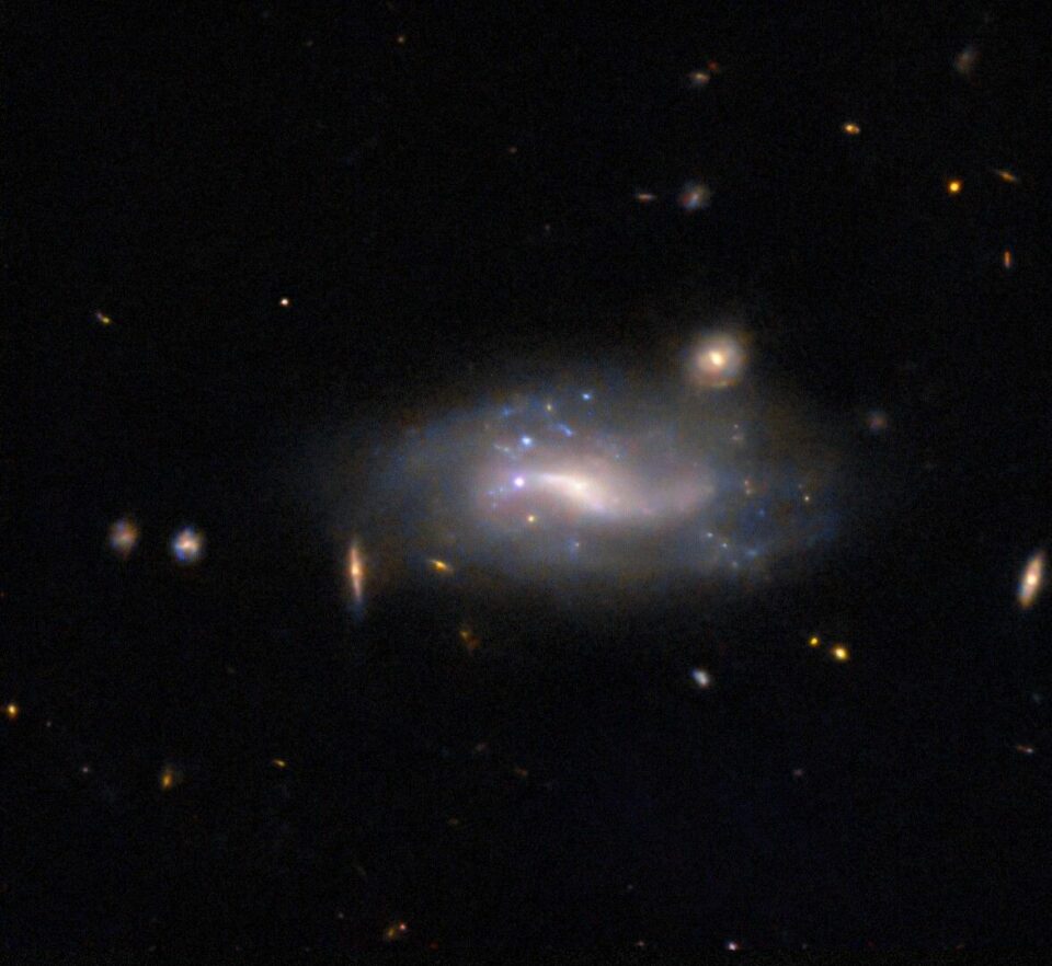 Hubble Goes Supernova Hunting