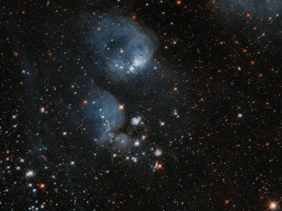 Hubble Examines Stars Ensconced in a Cocoon of Gas