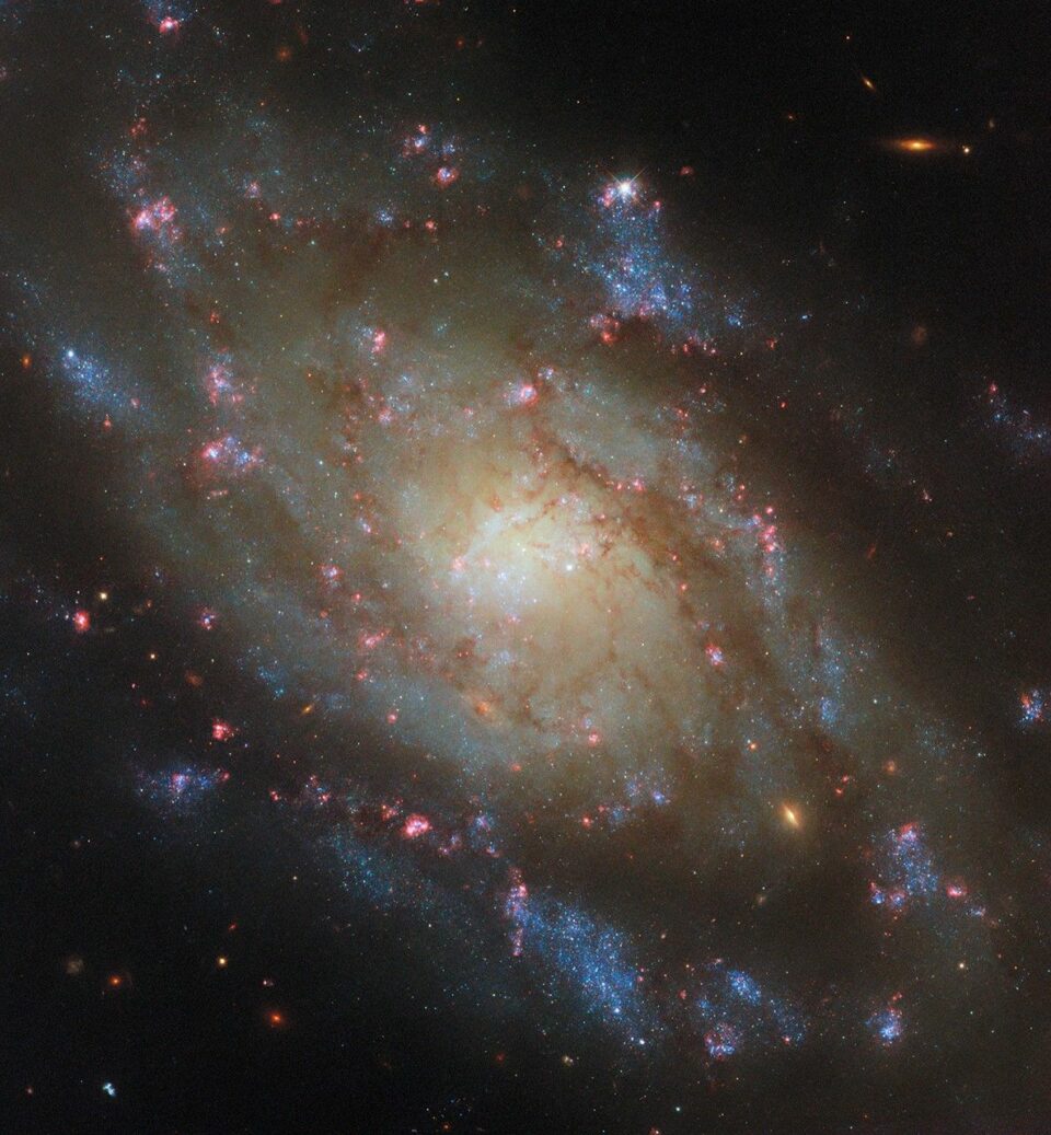 Hubble Unveils a Glittering View of Sh2-284