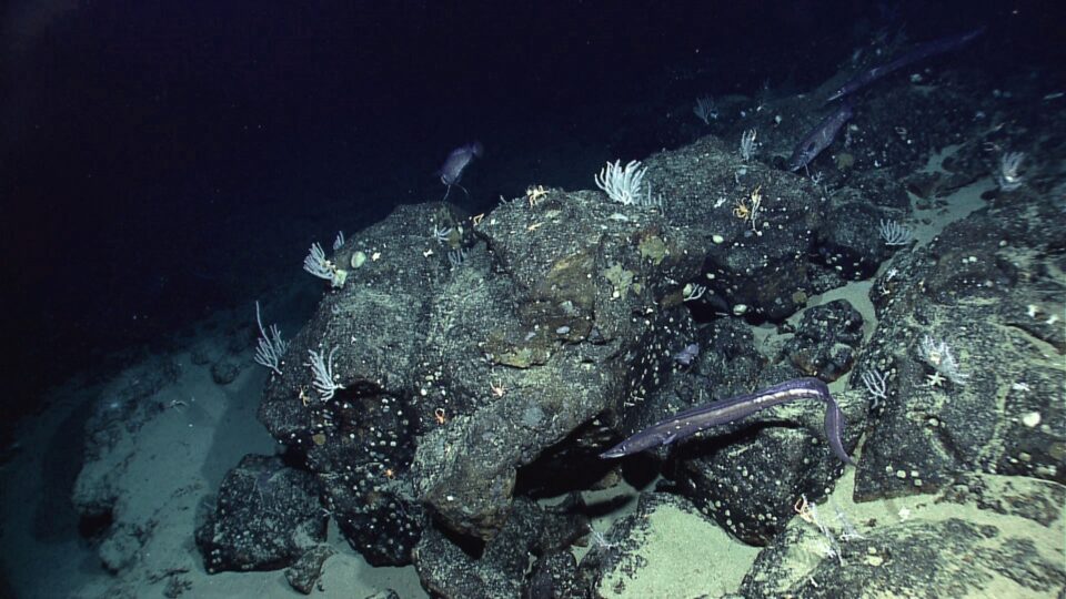 Next-Generation Water Satellite Maps Seafloor From Space
