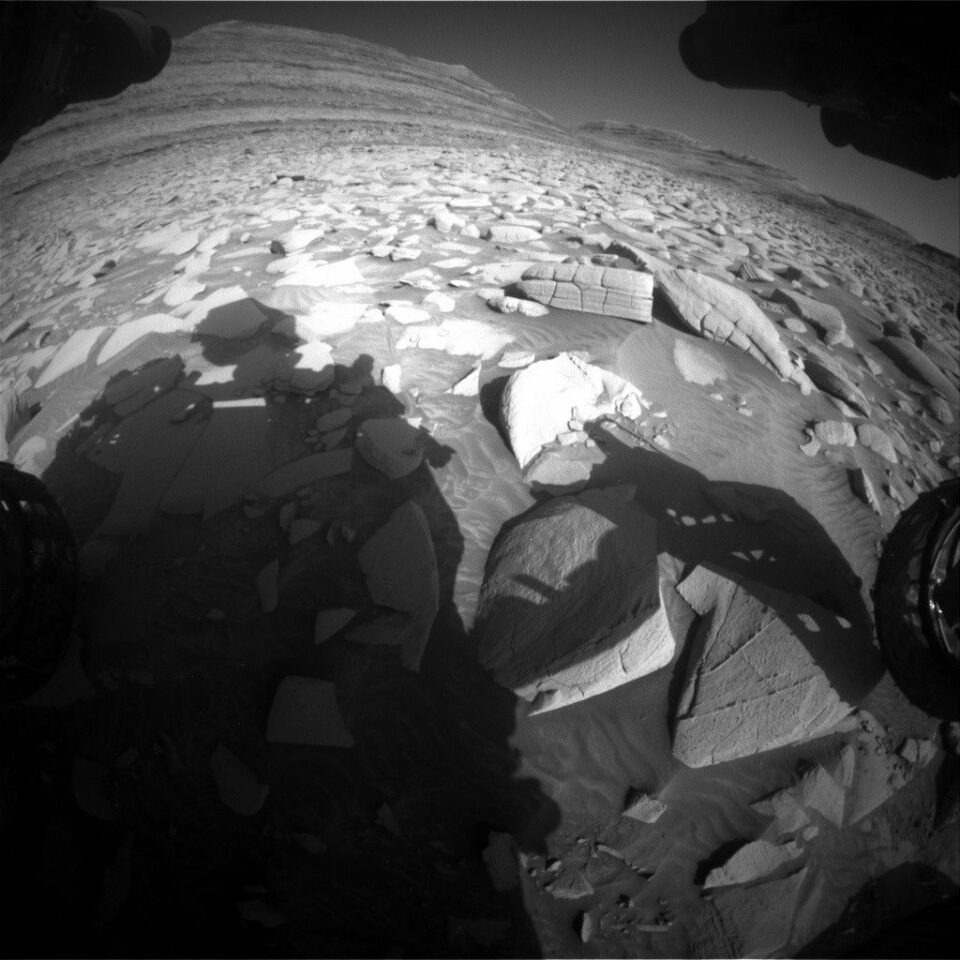 Sols 4491-4492: Classic Field Geology Pose
