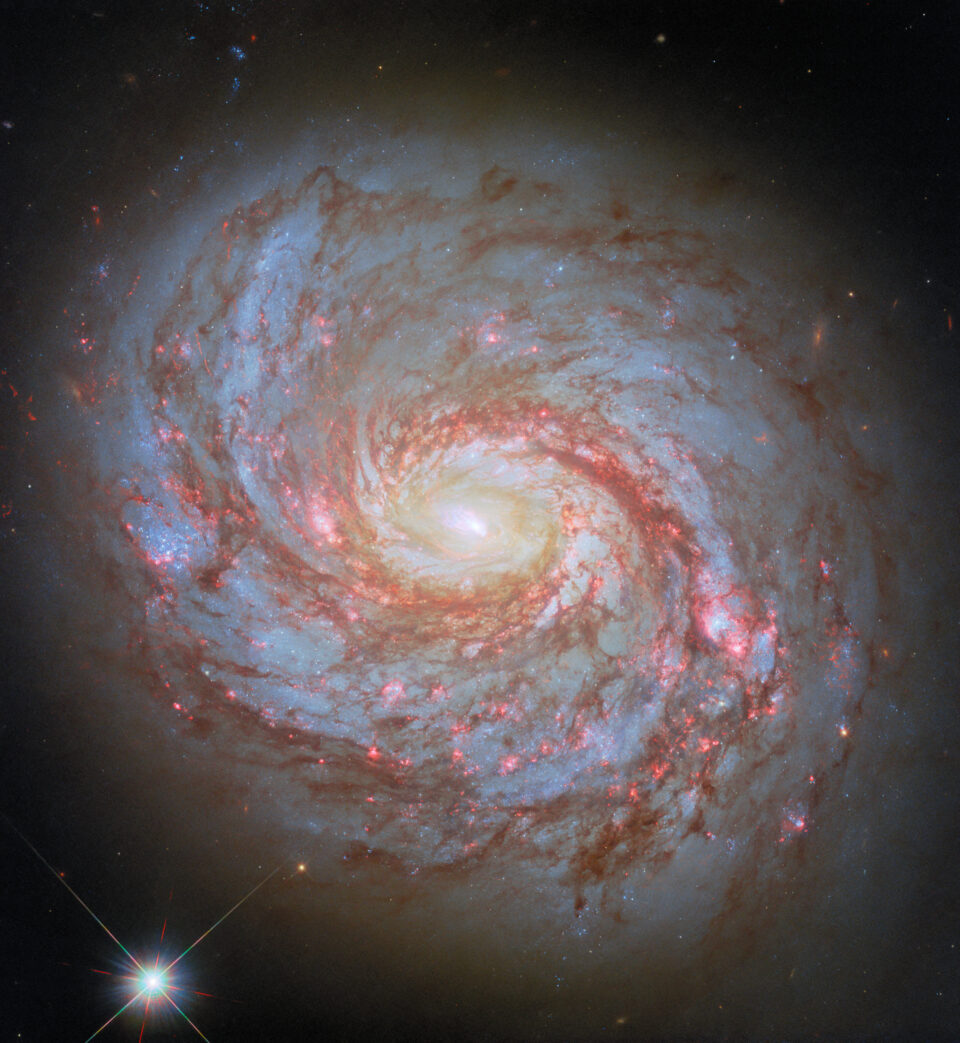 Hubble Spots a Squid in the Whale