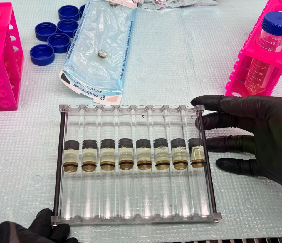 NASA Kicks Off Biological Research Aboard Space Station