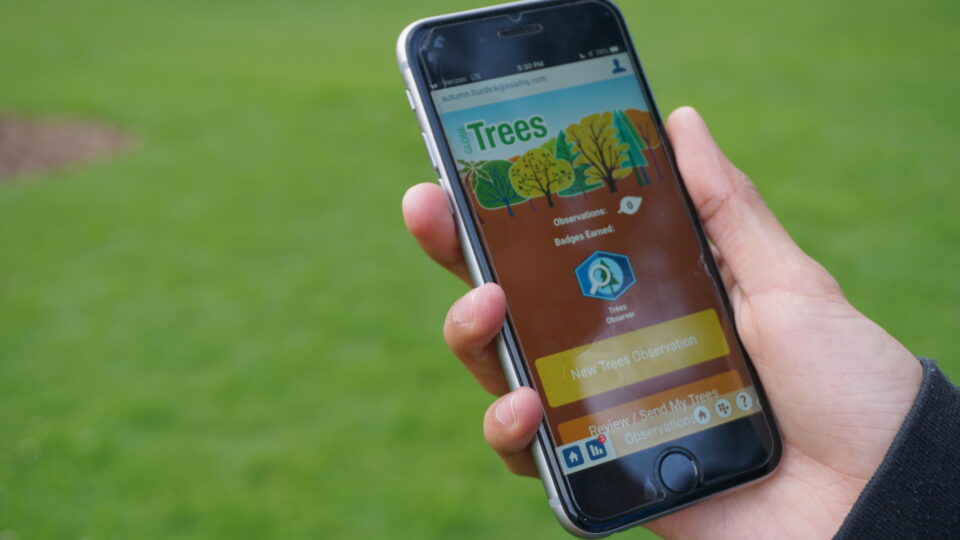 New York Math Teacher Measures Trees & Grows Scientists with GLOBE