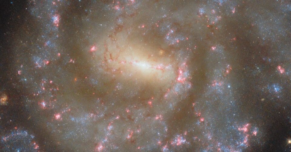 Hubble Captures Starry Spectacle
